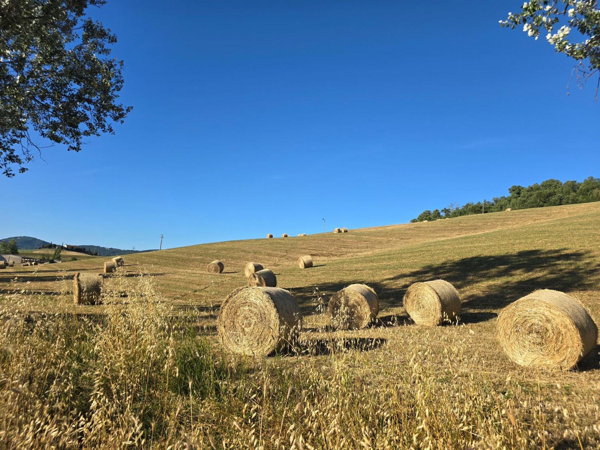 Villetta Pia Contignano ภายนอก รูปภาพ